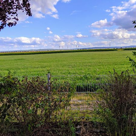 Grosse Schoenheit Mit Panoramablick Euskirchen Exterior photo